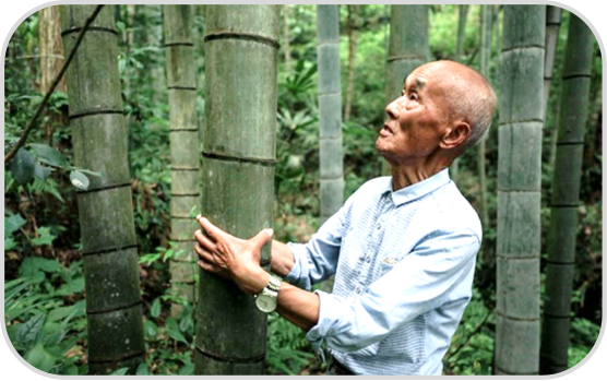 Production Process (1)