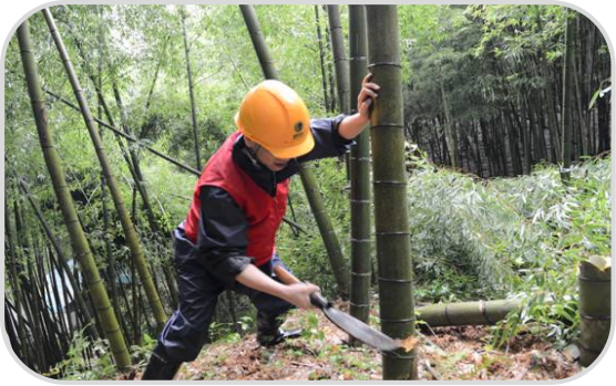 Production Process (2)