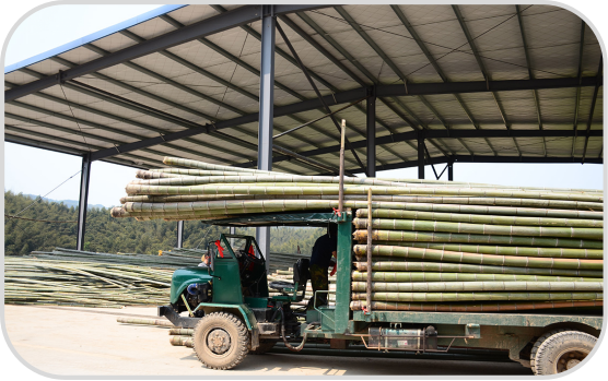 Production Process (3)